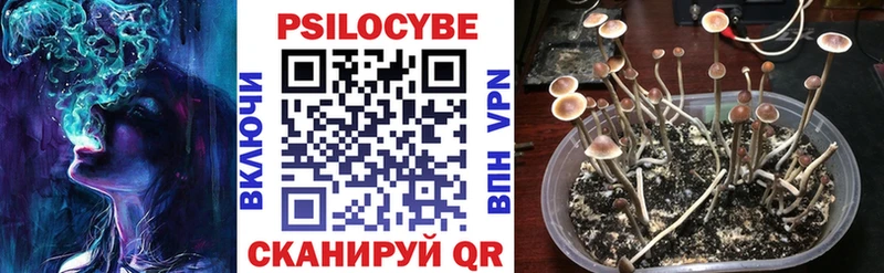 Псилоцибиновые грибы мицелий  Купить  Бологое 